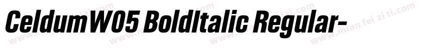CeldumW05 BoldItalic Regular字体转换
